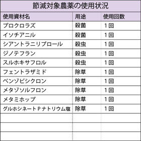 【10kg (5kg×2袋)】令和6年産 新米 こだわり 特別栽培米秋田県仙北産あきたこまち