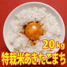 【20kg (5kg×4袋)】令和6年産 新米 こだわり 特別栽培米秋田県仙北産あきたこまち