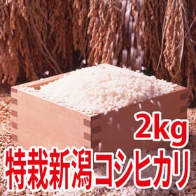 【2kg×1袋】令和6年産 新米  特別栽培米新潟県阿賀野産コシヒカリ