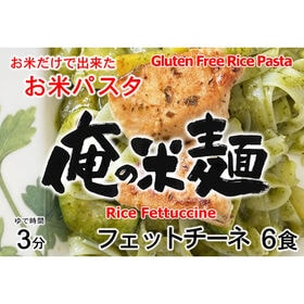 【計600g/100gx6袋】お米だけで出来たライスパスタ フェットチーネ（平麺）