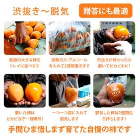 【予約受付】12/5~順次出荷【秀品 大玉 約1.8kg】香川県産 愛宕柿 年末の贈答に最適♪