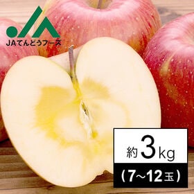 【予約受付】11/10~順次出荷【約3kg(7-14玉)】[秀品]山形県産サンふじりんご