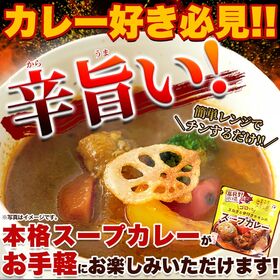 ゴロッと 玉ねぎ と骨付き チキン の スープカレー【1人前260g×2袋】富良野市場