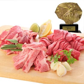 【500g】A5等級 神戸牛赤身・霜降り・カルビ　BBQ 焼肉セット