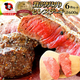 【計600g】牛肉 ヒレ ステーキ 詰め合わせ（100g×6枚セット） | 食卓を彩る、贅沢赤身の柔らかヒレステーキ。焼くだけで豪華な一皿が完成！