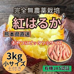 【3kg】熊本県産さつまいも 有機JAS認証「紅はるか」ミニサイズ | ねっとり甘ーい！芳醇な香りと高糖度が人気！農家直送！ミニサイズで食べやすい。完全無農薬栽培