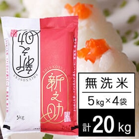 【計20kg/5kg×4袋】新米 令和6年産 新潟県中越産 新之助 無洗米 | きらめく大粒、コクと甘み