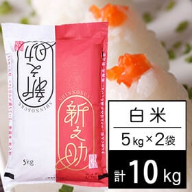 【計10kg/5kg×2袋】新米 令和6年産 新潟県中越産 新之助 白米 | きらめく大粒、コクと甘み