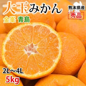 【予約受付】1/23~順次出荷【約5kg】 大玉みかん 秀品 金峯 青島 熊本県産