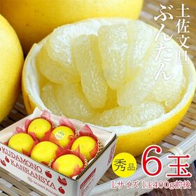 【予約受付】12/21~順次出荷【6玉】土佐文旦 秀品 | プチプチと弾ける食感と爽やかな後味がやみつきになります。