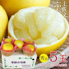 【予約受付】12/21~順次出荷【5玉】土佐文旦 秀品 | プチプチと弾ける食感と爽やかな後味がやみつきになります。