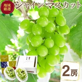 【予約受付】11/25~順次出荷【2房計約1.2kg】お歳暮ギフト シャインマスカット | シャインマスカット皮ごとジューシー幸せの味。