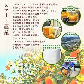 【予約受付】11/20~順次出荷【約2kg】和歌山県産 厳選小みかん