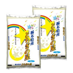 【計10kg/5kg×2袋】新米 令和6年産 栃木県産とちぎの星 白米