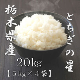 【計20kg/5kg×4袋】新米 令和6年産 栃木県産とちぎの星 白米