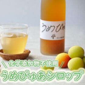 「伊藤農園」うめぴゅあシロップ500ml×6本セット | 添加物不使用！梅本来の甘みと風味をお楽しみください♪