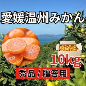 【10kg】愛媛県西宇和産 みかん 秀品/贈答用