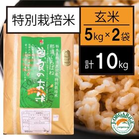 令和6年産【10kg】特別栽培米 玄米「曽良のお米（そらのおこめ）」Jオーガライス