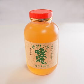 【2500g】藤原養蜂場 あかしあハチミツ