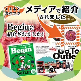 【300g/約6人前】馬刺し《赤身》熊本発送