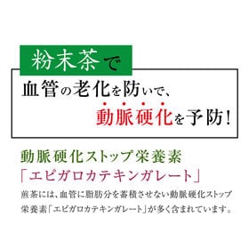 【500g】茶つみの里 《静岡県産》粉末緑茶  掛川茶葉使用 業務用