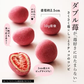 【100g】贅沢まるごと苺