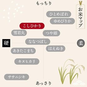 【10kg】令和6年 山形県産 こしひかり(5kg×2袋)