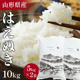 【10kg(5kg×2袋)/ 無洗米】はえぬき10kg 無洗米