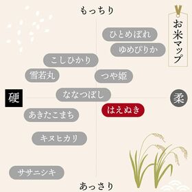 【10kg(5kg×2袋)/ 無洗米】はえぬき10kg 無洗米