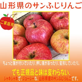 【予約受付】12/10~順次出荷【約10kg(26~50玉)】 山形県産りんご サンふじ(ご家庭用)