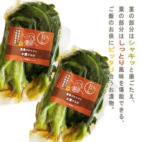 【500g】青菜漬け 500g×1袋 山形の伝統漬物 柿渋散布 農薬不使用