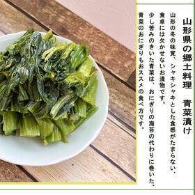 【500g】青菜漬け 500g×1袋 山形の伝統漬物 柿渋散布 農薬不使用