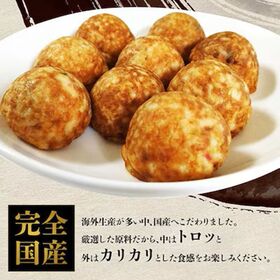 【賞味期限間近】【27g×30個/計2袋】真  国産 贅沢タカヤン店長のたこ焼き（平方）