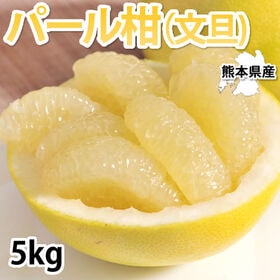 【予約受付】2/6~順次出荷【5kg】熊本県産 パール柑（文旦）秀品