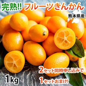 【予約受付】1/20~順次出荷【1kg】熊本県産 金柑