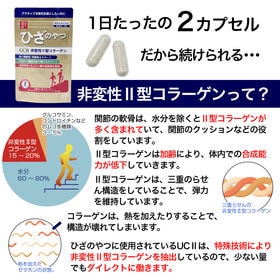 【60日分（2個セット）】ココカラダ ひざのやつ　非変性2型コラーゲン [機能性表示食品]