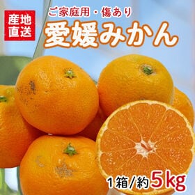 【約5kgセット】愛媛県産 愛媛みかん (ご家庭用・傷あり)