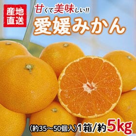 【約5kgセット】愛媛県産 愛媛みかん