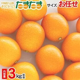 【予約受付】1/25~順次出荷【3kg前後】宮崎県産 きんかんたまたま ※サイズお任せ | 糖度も高くきんかんではなかなか味わうことのない甘み