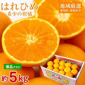 【予約受付】1/20~順次出荷【約5kg】はれひめ　優品 | 酸味が少なめで甘く、オレンジのような風味があるのが特徴。