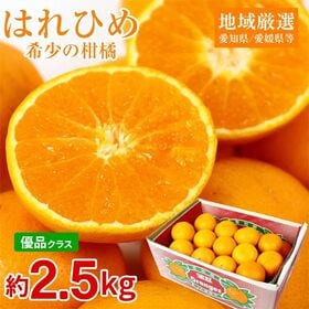 【予約受付】1/20~順次出荷【約2.5kg】はれひめ　優品 | 酸味が少なめで甘く、オレンジのような風味があるのが特徴。