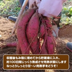 【予約受付】1/14~順次出荷【約3.0kg】香川県産 完熟さつまいも2種詰合せ(安納芋・紅はるか)