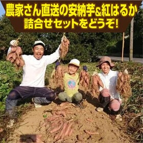 【予約受付】1/14~順次出荷【約3.0kg】香川県産 完熟さつまいも2種詰合せ(安納芋・紅はるか)