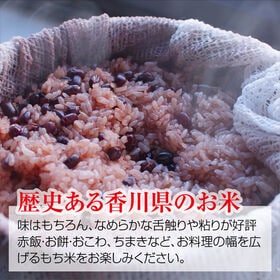 【3kg(1.5kg×2袋)】《令和6年度産》香川県産もち米(精米)滑らかな舌触りや粘りが好評です