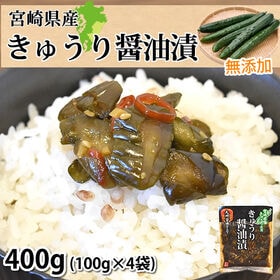 【計400g(100g×4袋)】宮崎県産 きゅうり醤油漬 無添加