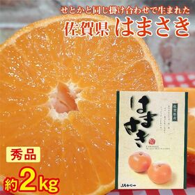 【予約受付】2/10~順次出荷【約2kg/サイズお任せ】《秀品》佐賀県産 はまさき 化粧箱入り | せとかの姉妹品種!!甘みが強くほどよい酸味で、香りもよく深みある風味