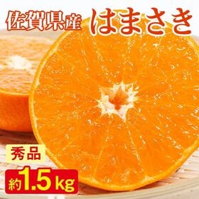 【予約受付】2/10~順次出荷【約1.5kg(サイズお任せ)】《秀品》佐賀県産 はまさき | せとかの姉妹品種!!甘みが強くほどよい酸味で、香りもよく深みある風味