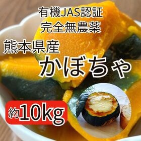 【約10kg】熊本県産かぼちゃ 完全無農薬/有機JAS認証 | 完全無農薬で安全安心/ほくほく甘ーい南瓜を天ぷら・煮物・スープ・サラダ等々で