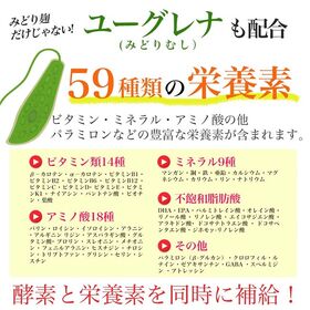 【日替数量限定】【賞味期限間近】【約1か月分】秘伝・麹屋 みどり酵素 90カプセル【先行チケット利用NG】