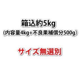 【予約受付】2/6~順次出荷【箱込約5kg】熊本県産 デコみかん（傷あり、不揃い、ご家庭用）